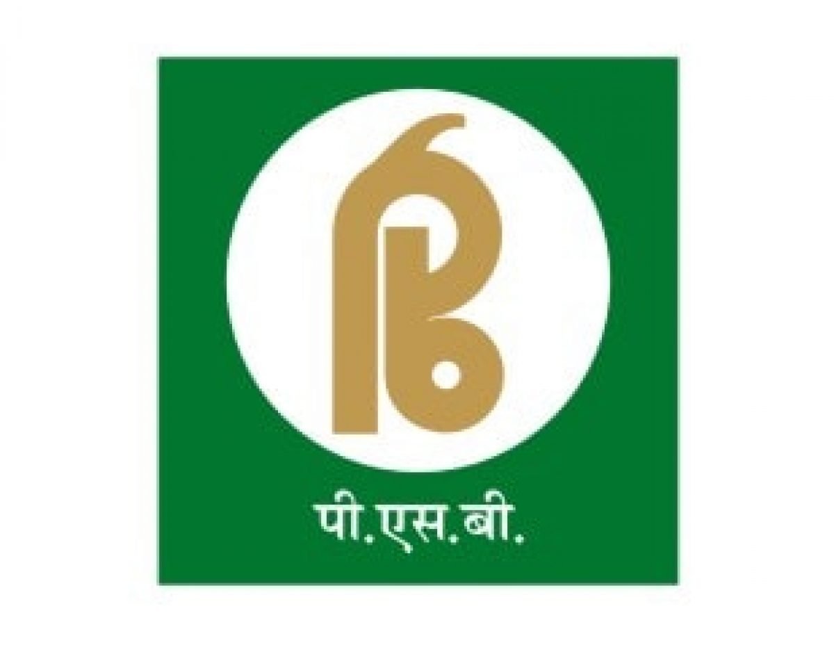 Punjab National Bank logo transparent PNG - StickPNG